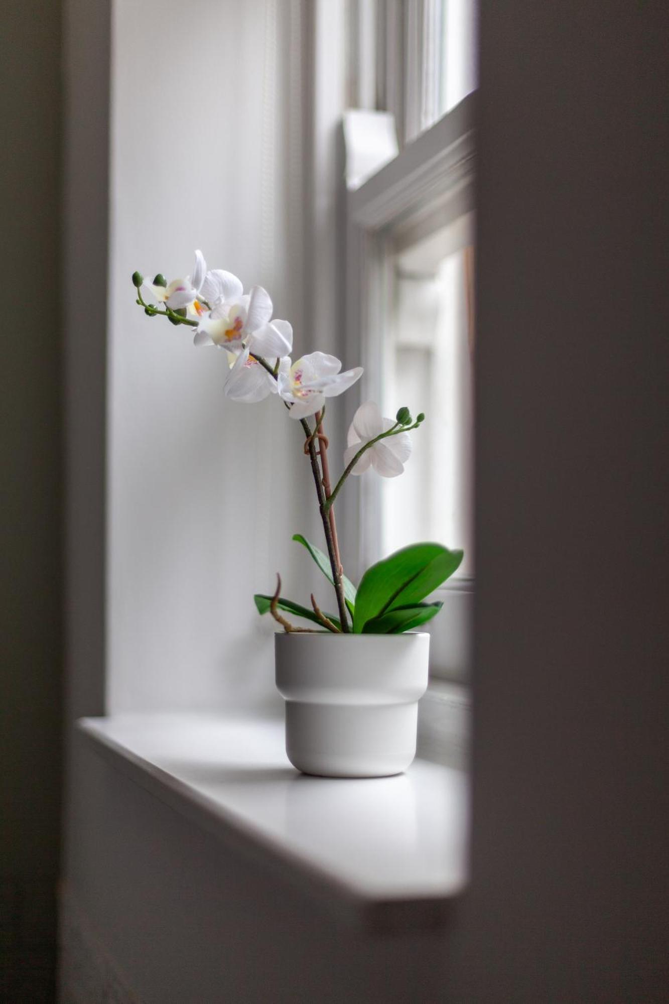 The Hackney Luxury Flat Apartment London Exterior photo